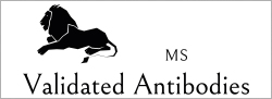 MS Validation Antibodies GmbH, Hamburg